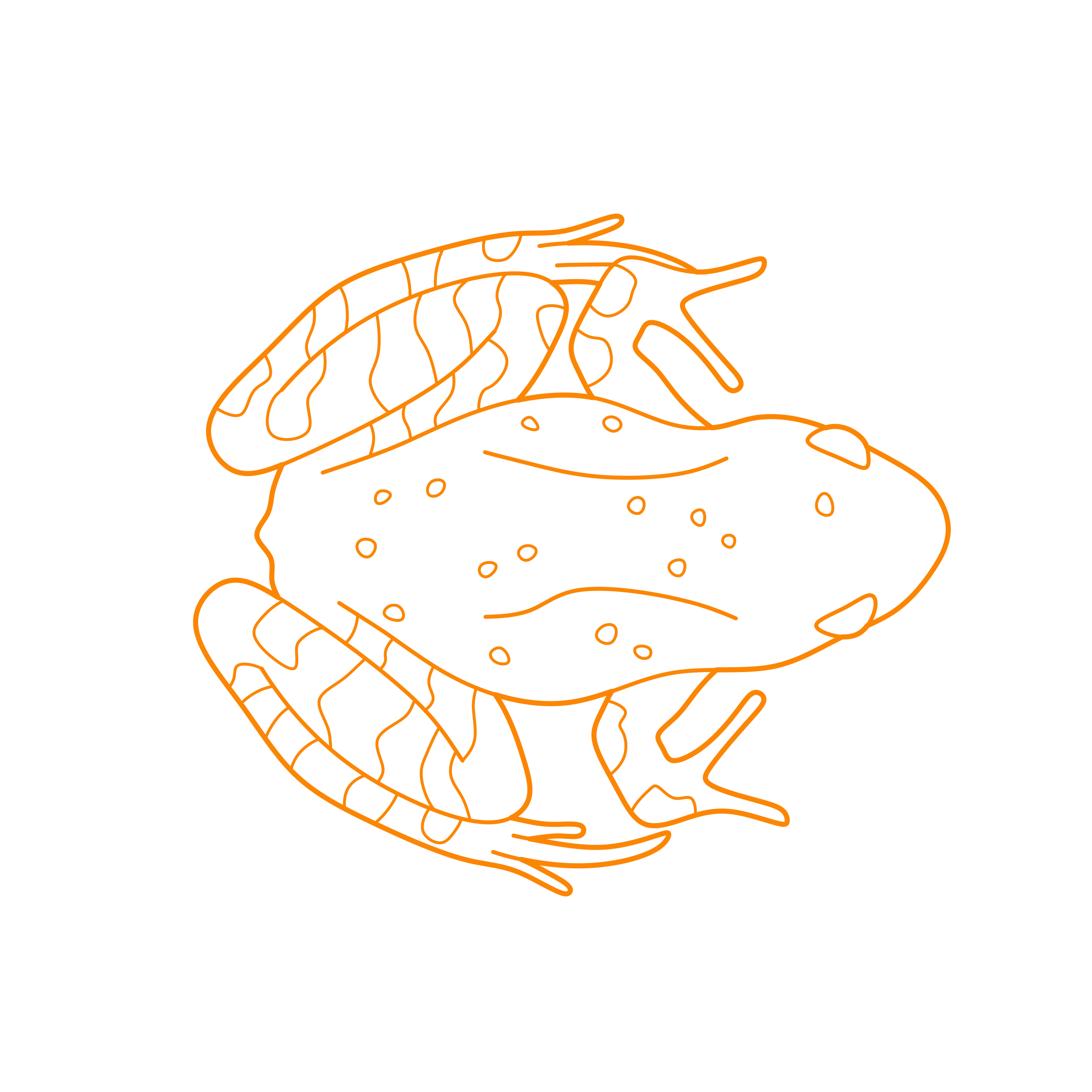 Animals Frogs Wood Frog Sketch Drawing Svg Free Vectors